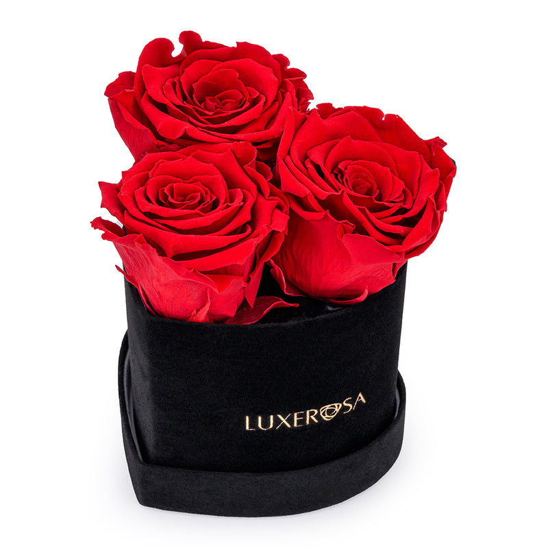 Black Velvet Suede, Small, Venus Heart Shaped, Eternity Rose Box