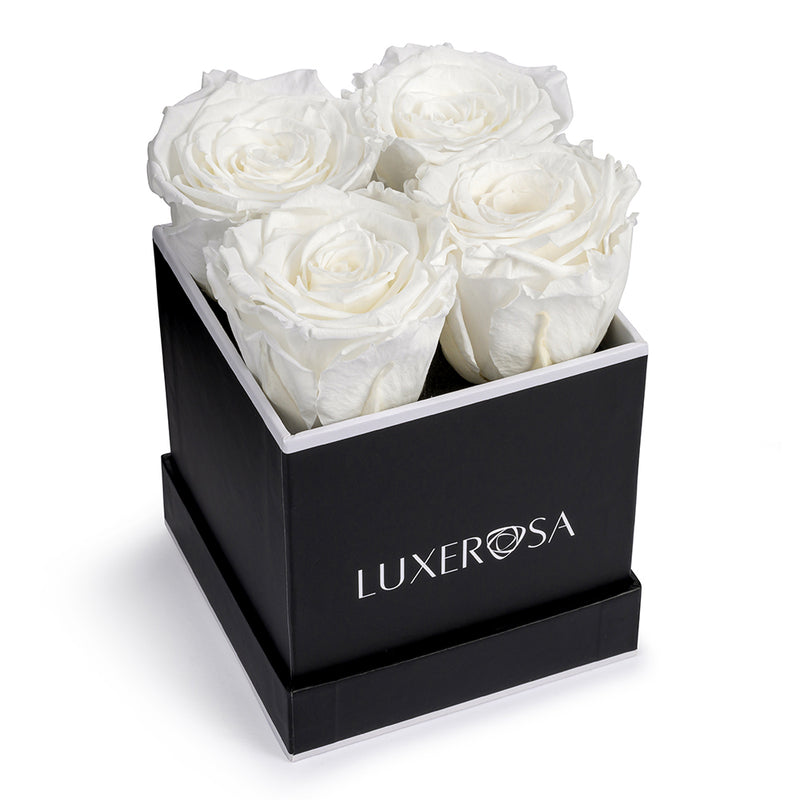 Black, Small Square Infinity Rose Box with 4 Preserved Forever | Eternal | Eternity Roses in White Colour - LUXEROSA