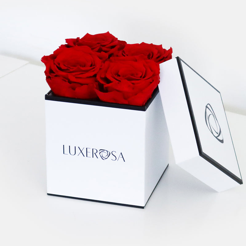 White, Small Square Infinity Rose Box