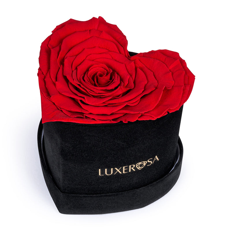 Black Velvet Suede, Small, Venus Heart Shaped, Eternity Rose Box With Heart Rose | Infinity | Eternal | Preserved Red Rose - LUXEROSA