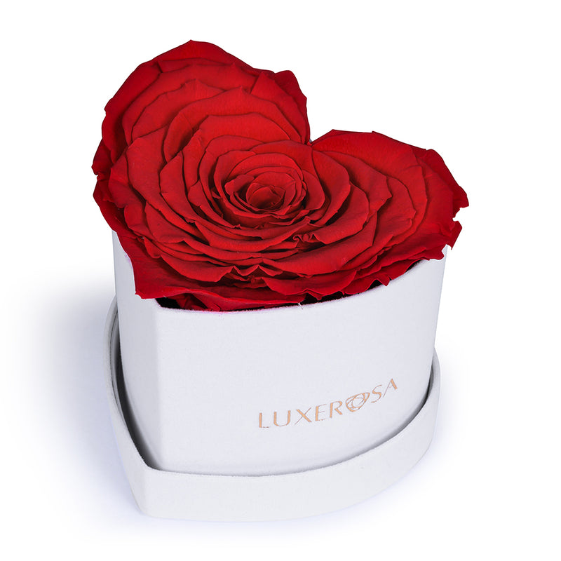 White Velvet Suede, Small, Venus Heart Shaped, Eternity Heart Shaped Forever | Infinity | Eternal | Preserved Red Rose - LUXEROSA