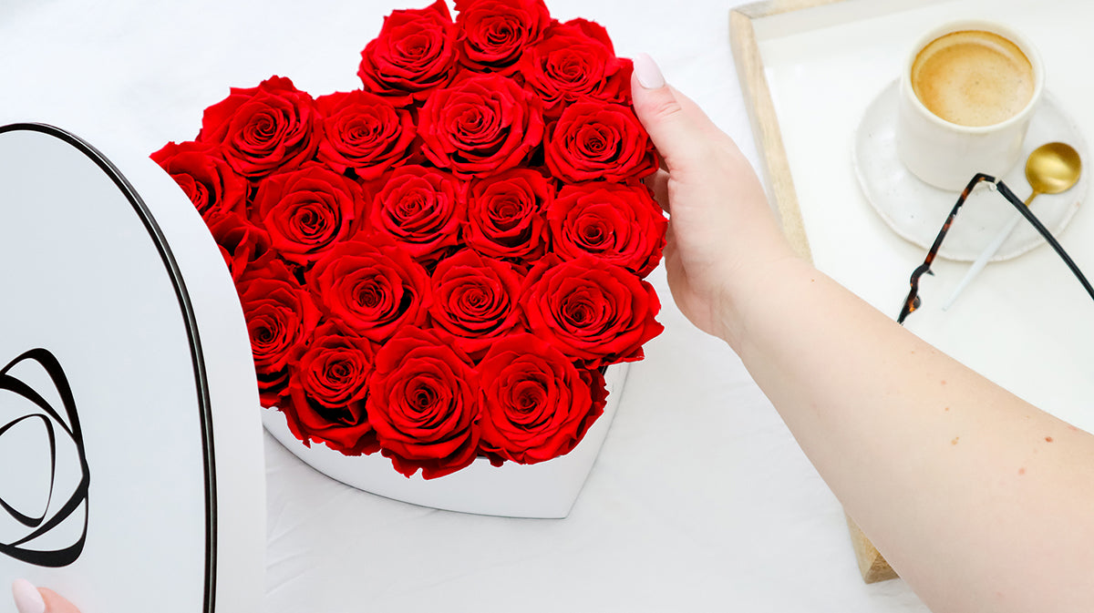 Infinity_roses_valentine's_day