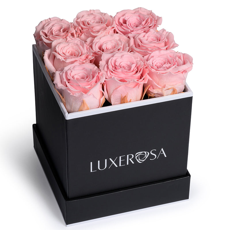 Black, Small Square, Infinity Rose Box with Petite Preserved Forever | Eternal | Eternity Roses in Blush Pink Colour - LUXEROSA