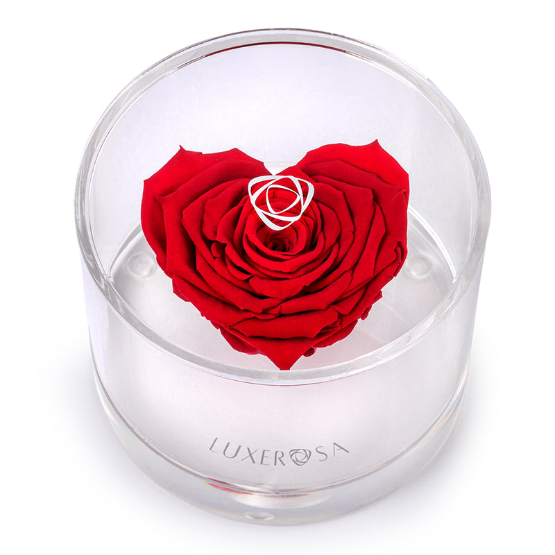 Single Red Coloured, Heart Shaped Forever | Everlasting | Eternal | Eternity| Infinity Rose in a Clear Acrylic Display - small - LUXEROSA