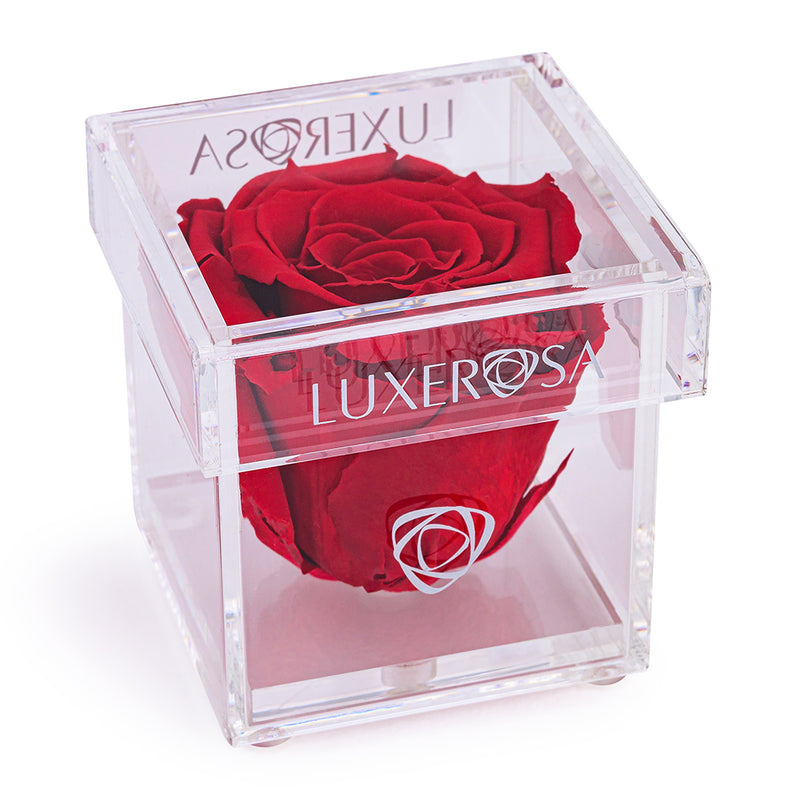 Single Forever Rose in a Clear Acrylic Box - Perfect Valentine&